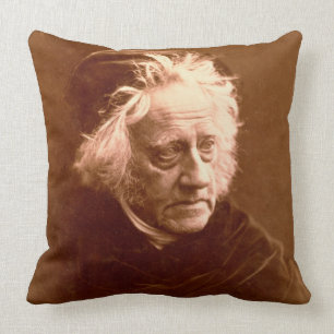 Sir John Frederick William Herschel (1792-1871) 18 Throw Pillow