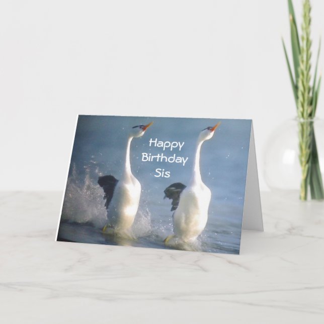 "SIS-CELEBRATE ENJOY, KICK UP YOUR HEALS" BIRTHDAY CARD (Front)