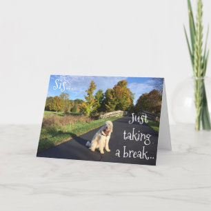 **SIS** TAKING A BREAK TO SAY "HAPPY BIRTHDAY" CARD