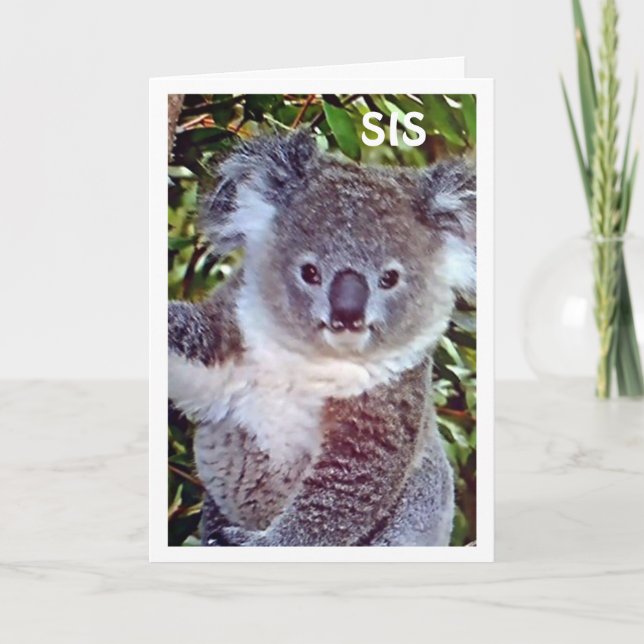 SIS THIS "KOALA BIRTHDAY CARD IS JUST FOR "YOU!" (Front)