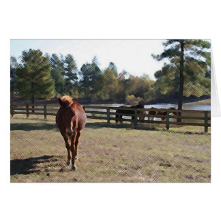 Sissy Mule Card