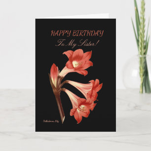 Sister Birthday Belladonna Lily Card