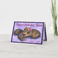 Sister Birthday Two little dachshund sisters
