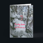 Sister Christmas-Candy Cane Holiday Card<br><div class="desc">.candy cane,  snow,  trees</div>