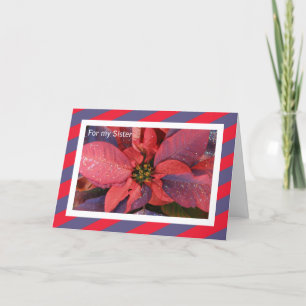 Sister Christmas Card -- Poinsettia