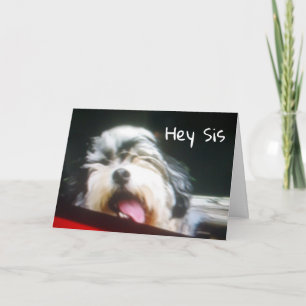 SISTER I AM **HANGIN' OUT TO SAY HAPPY BIRTHDAY** CARD