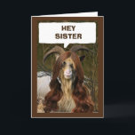 "SISTER" READY TO CELEBRATE YOUR BIRTHDAY CARD<br><div class="desc">THANK YOU FOR STOPPING BY ONE OF MY EIGHT STORES!</div>