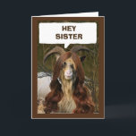 "SISTER" READY TO CELEBRATE YOUR BIRTHDAY CARD<br><div class="desc">THANK YOU FOR STOPPING BY ONE OF MY EIGHT STORES!</div>