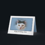 Sister's Birthday Card with Cat<br><div class="desc">This lovely cat was photographed on Cedar Key,  Florida.  He makes a terrific cover for a birthday greeting.</div>