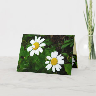 Sisters Card