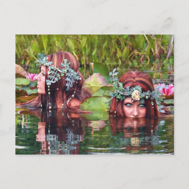 Sisters Collectors Postcard (Front)