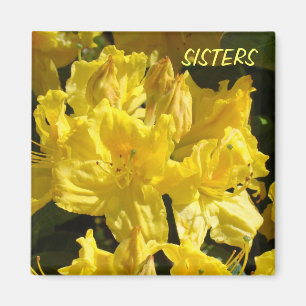 SISTERS magnets Bright Yellow Rhododendrons Flower