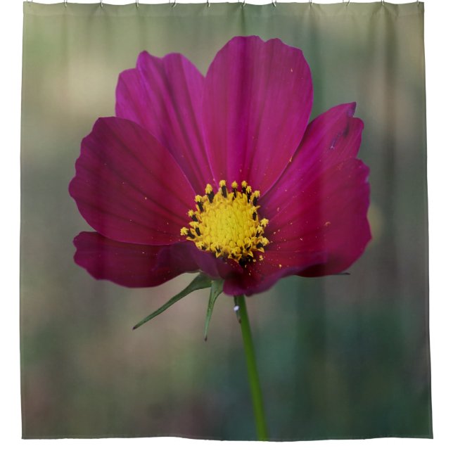 Sister's Perfect Flower (Front)