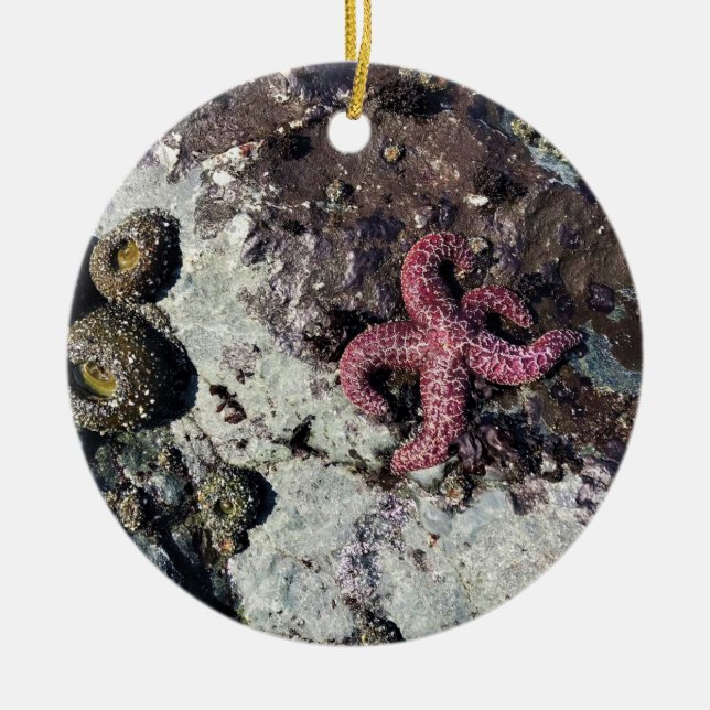 Sisters Rock State Park, Oregon Coast Ceramic Ornament (Front)