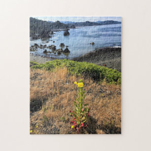 Sisters Rock State Park, Oregon Coast Jigsaw Puzzle