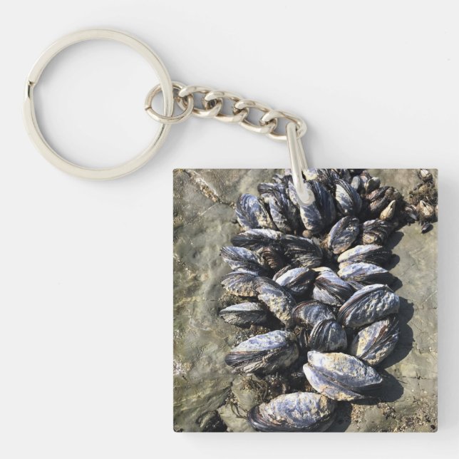 Sisters Rock State Park, Oregon Coast Keychain (Front)