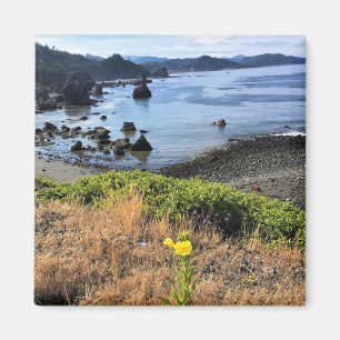 Sisters Rock State Park, Oregon Coast Magnet
