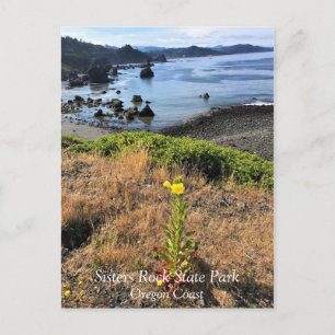 Sisters Rock State Park, Oregon Coast Postcard