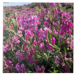Sisters Rock State Park, Oregon Coast Tile