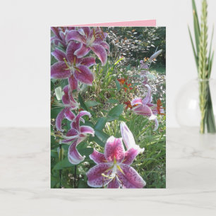 Sister's Stargazer Lilies, Sentimental Card
