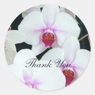 Sisters - Thank You Classic Round Sticker