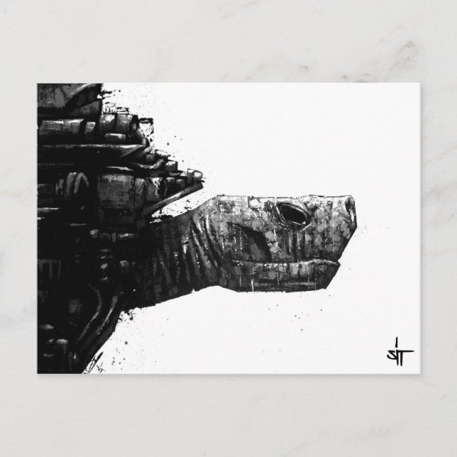 SIT "Turtle" Postcard (Front)