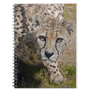 Sita Notebook