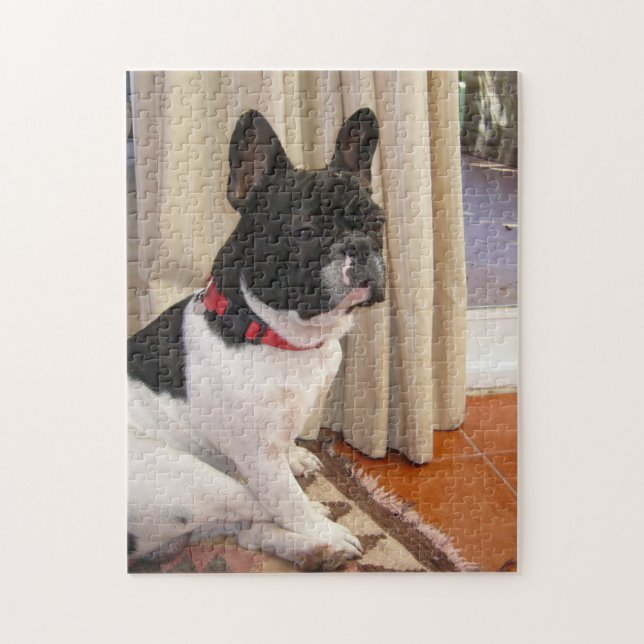 sitting 3 french bulldog.png jigsaw puzzle (Vertical)