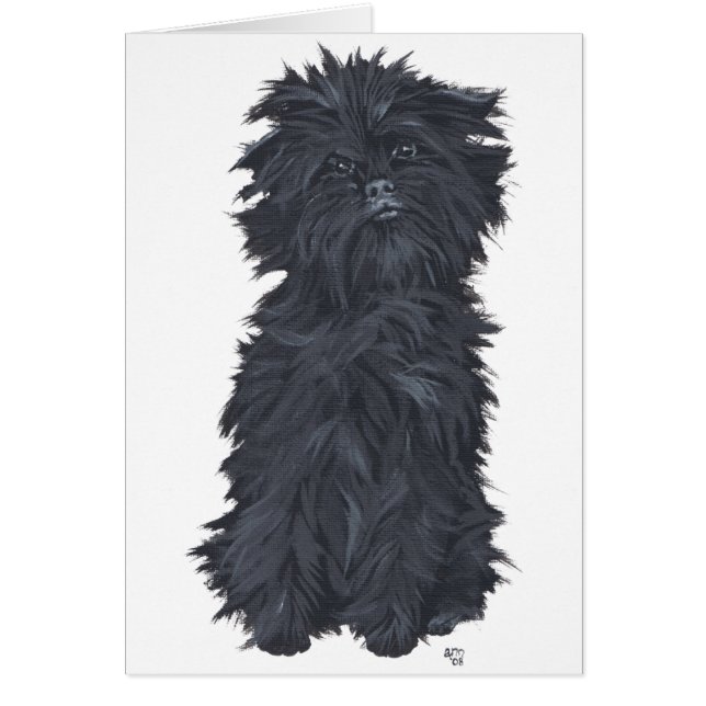 Sitting Affenpinscher (Front)
