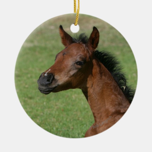 Sitting Arab Foal Ceramic Ornament (Front)