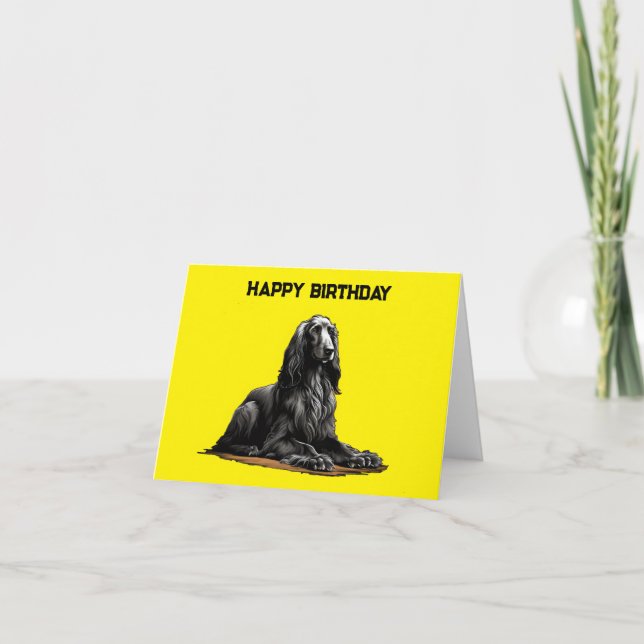 Sitting black Afghan hound Card (Front)