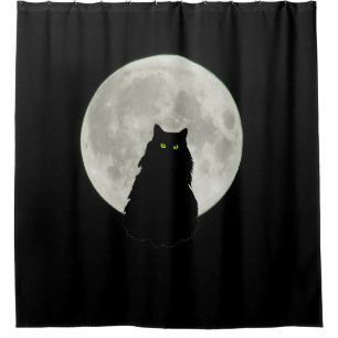 Sitting Black Cat and Full Moon