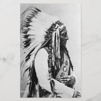 Sitting Bull, a Hunkpapa Sioux