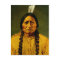 Sitting Bull Native Lakota Sioux Chief Portrait