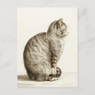 Sitting cat - Jean Bernard Postcard