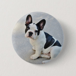 sitting french bulldog 2 inch round button