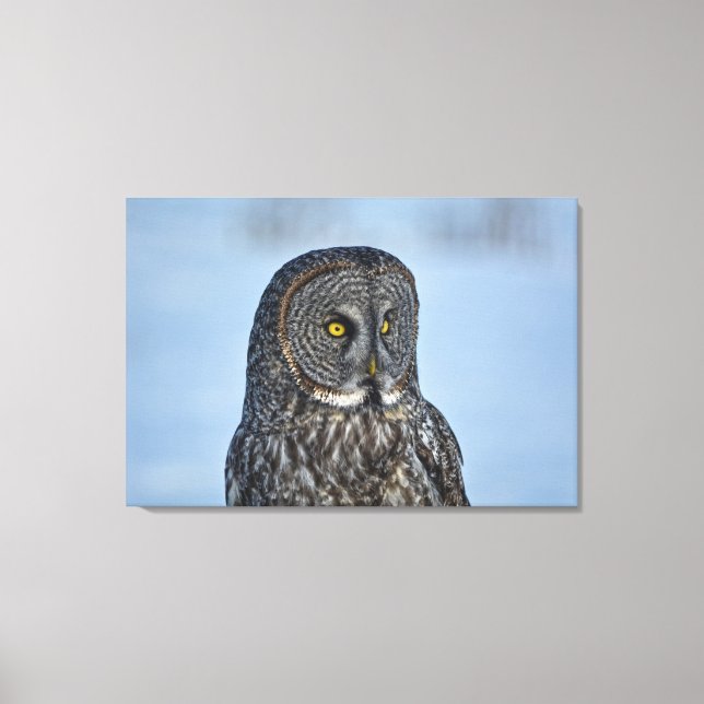 Sitting Great Grey Owl Wildlife Photo Portrait II Canvas Print (Front)