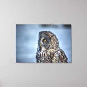 Sitting Great Grey Owl Wildlife Photo Portrait III Canvas Print