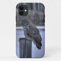 Sitting Great Grey Owl Wildlife Photo Portrait III