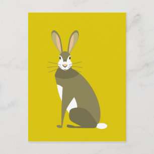 Sitting Hare Postcard