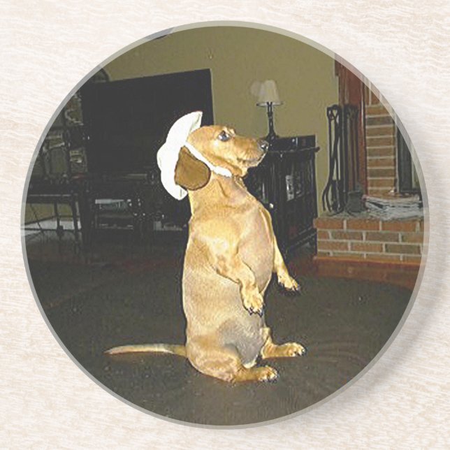 Sitting Pretty Dachshund Coaster (Front)