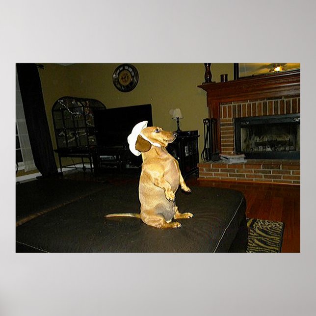 Sitting Pretty Dachshund Framed Poster (Front)