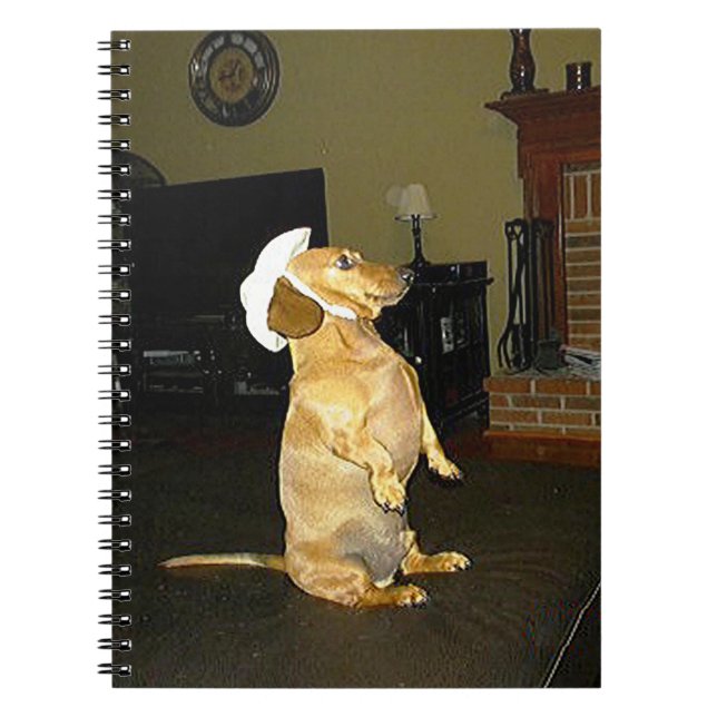 Sitting Pretty Dachshund Notebook (Front)