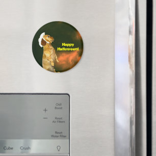 Sitting Pretty For Lots of Treats Magnet