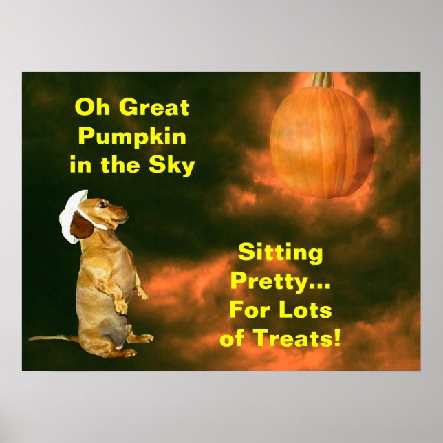 Sitting Pretty For Lots of Treats Poster (Front)