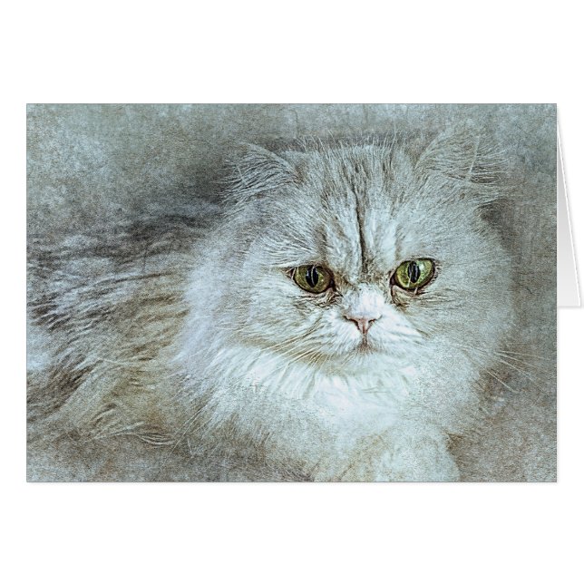 Sitting Pretty Kitty | Abstract | Watercolor (Front Horizontal)