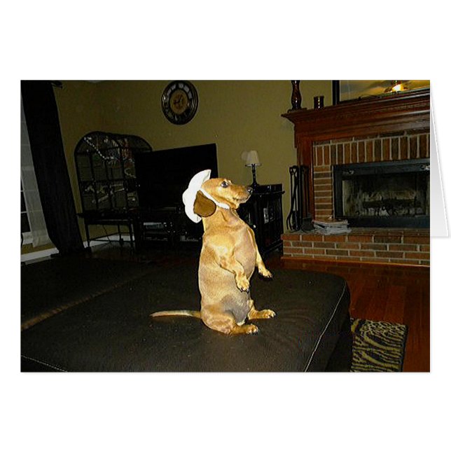 Sitting Pretty or Watching TV Dachshund (Front Horizontal)