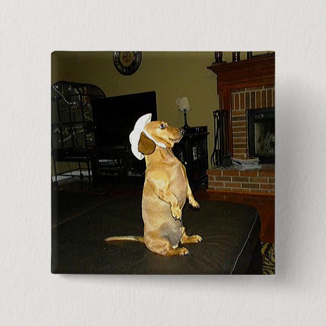 Sitting Pretty or Watching TV Dachshund 2 Inch Square Button (Front)