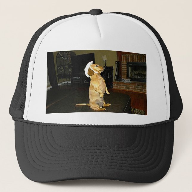 Sitting Pretty or Watching TV Dachshund Trucker Hat (Front)