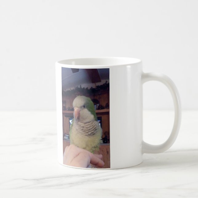 Sitting Pretty Quaker Parrot Mug (Right)